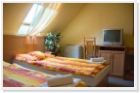 Turul Panzi�